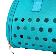Double Fish Transparent Pet Backpack – Dog, Cat, Puppy Carrier Bag & Accessories
