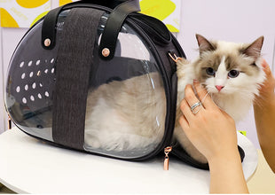 Double Fish Transparent Pet Backpack – Dog, Cat, Puppy Carrier Bag & Accessories