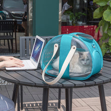 Double Fish Transparent Pet Backpack – Dog, Cat, Puppy Carrier Bag & Accessories